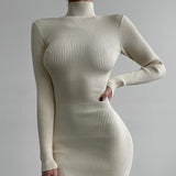 Knitted Turtleneck Long Sleeve Midi Dress Cream