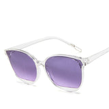 Oversized Cat Eye Sunglasses Purple