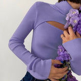 Long Sleeve Hollow Out Turtleneck Pullover Sweater Purple