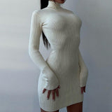 Knitted Turtleneck Long Sleeve Mini Dress Cream