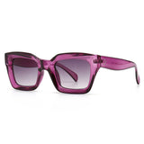 Vintage Style Sunglasses Purple