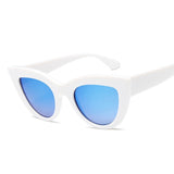 Oversize Cat Eye Sunglasses White/Blue