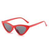 Cat Eye Sunglasses Red