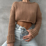 Ribbed Knit Crewneck Cotton Crop Sweater Brown