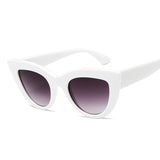 Oversize Cat Eye Sunglasses White/Gray
